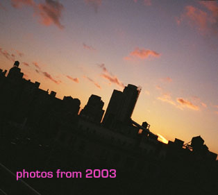 A view of Manhattan. Photo by Robyn Hitchcock